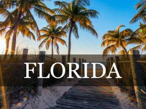 Florida Title Loans