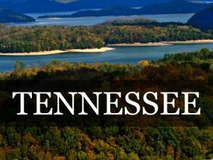 Tennessee Title Loans